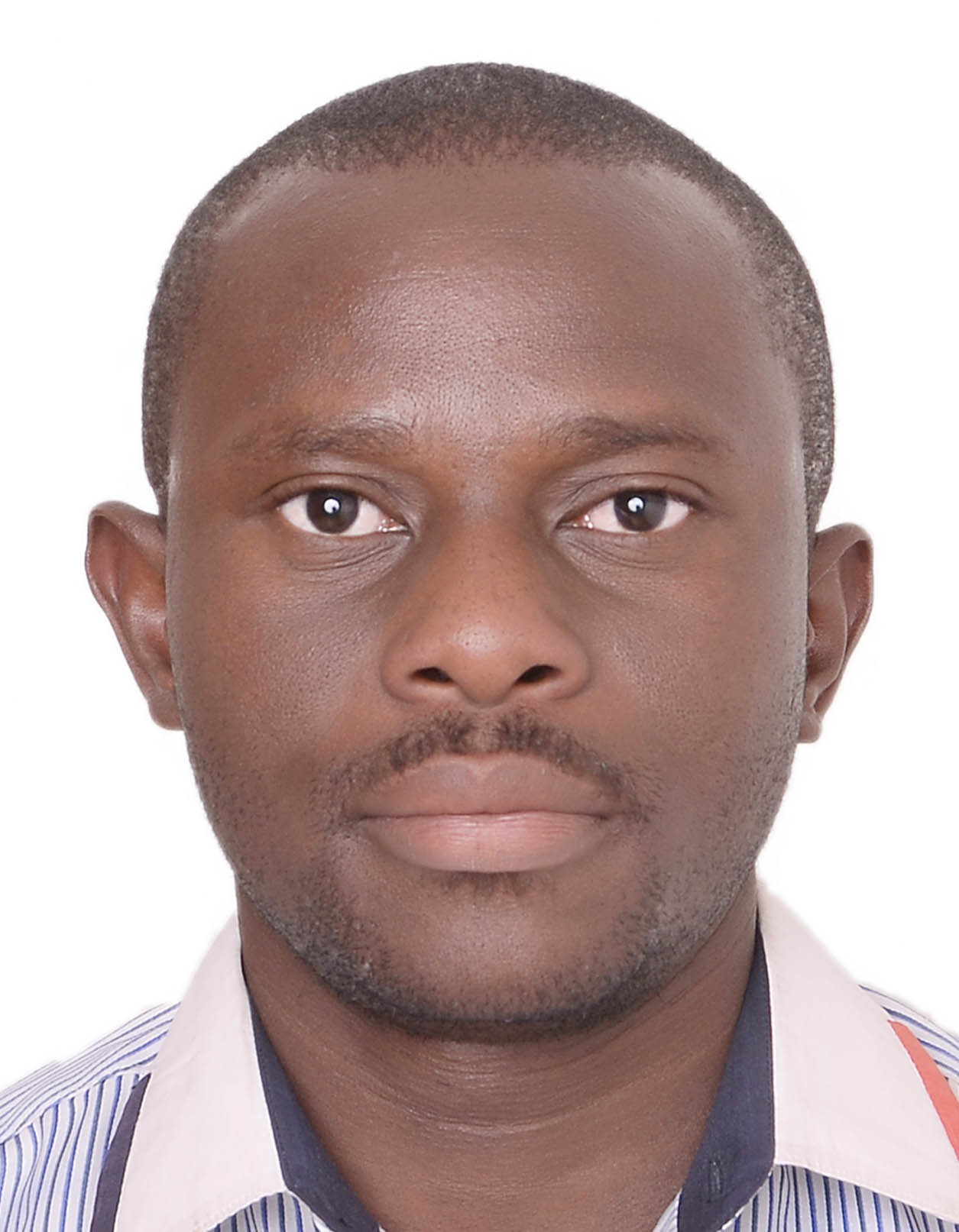 BASSEY ITALY. SOFTwp2
